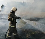 С астраханскими природными пожарами будут бороться мобильные группы