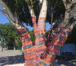 На астраханской сетевязальной фабрике сделали "свитер" для дерева