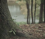 Двое пропавших гостей региона найдены в астраханском поселке