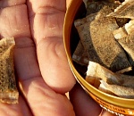 Будьте аккуратны: в астраханских школах предлагают попробовать снюс