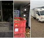 Краснодарец пытался вывезти из Астраханской области почти тонну живых раков