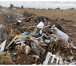 Природоохранная прокуратура организовала проверку по факту свалки у Кировской больницы Астрахани