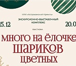 В Астрахани завершает работу выставка редких елочных игрушек