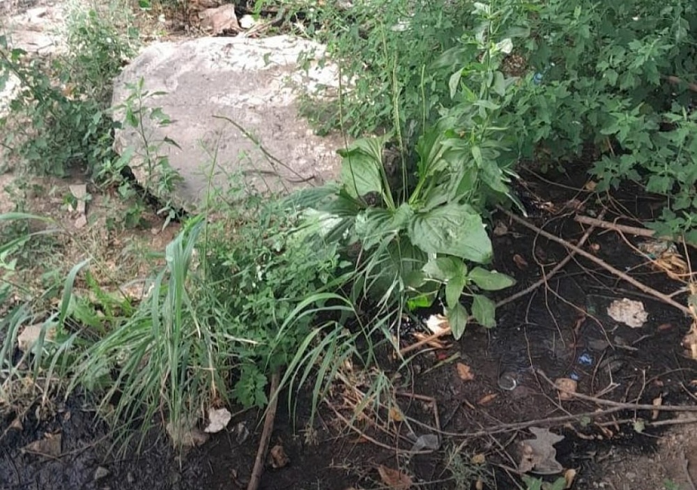 Астраханский суд обязал водоканал выплатить новый многомиллионный штраф