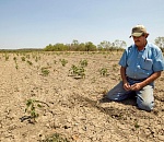 В Астраханской области ввели режим ЧС из-за аномальной жары