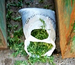 Астраханского наркомана сгубила паника