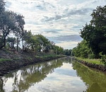 Чем жили. Хоть болотная, зато бесплатная
