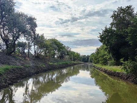 Чем жили. Хоть болотная, зато бесплатная