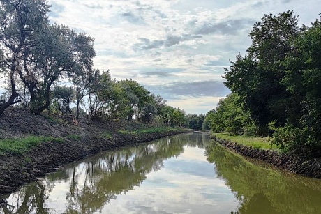 Чем жили. Хоть болотная, зато бесплатная