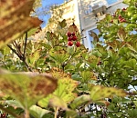 Погода преподнесет астраханцам в субботу теплый сюрприз 