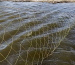 В Астраханской области экс-сотрудника колонии и полицейского будут судить за браконьерство 