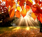 В Астрахани в сентябре поплывем от жары и дождя