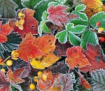 В ближайшую неделю астраханцам обещают прохладную погоду