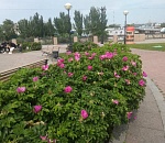 Астраханцам в ближайшее время могут снять часть ограничений