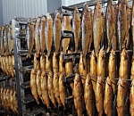 В Астраханской области Россельхознадзор обнаружил «кудесников» рыбного производства