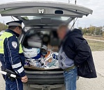 В Астрахани остановили машину москвича с 12 банками черной икры и 100 кг рыбы без чеков