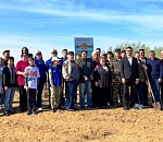 В Астраханской области высадят более 154 тысяч саженцев в рамках акции «Сад памяти»