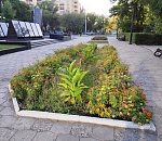 Астраханская осень продолжает притворяться летом