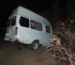 Под Астраханью маршрутка сбила лошадь: животное погибло