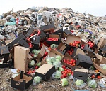 Россельхознадзор в Астраханской области уничтожил 6 тонн контрабанды