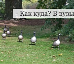 Астраханские вузы могут послужить пристанищем бывшим членам кабмина. Ч. 2