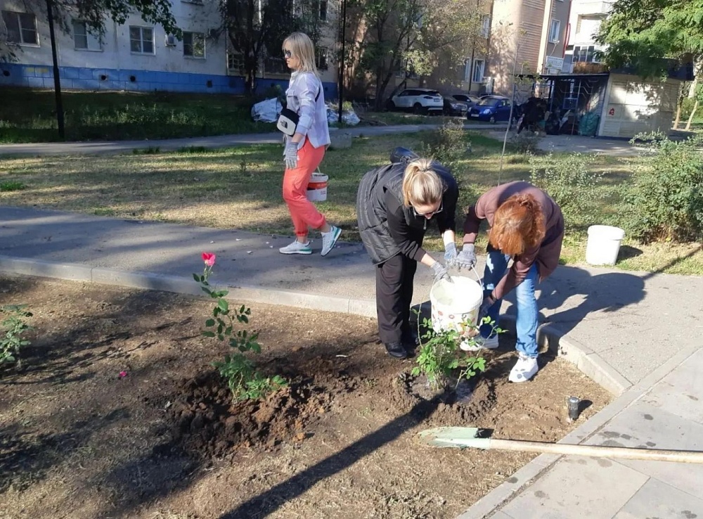 В Астрахани очистили от мусора десятки улиц, а на аллее Энергетиков высадили розы 