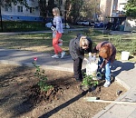 В Астрахани очистили от мусора десятки улиц, а на аллее Энергетиков высадили розы 