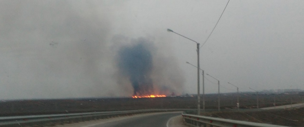 В Астрахани снова пылает камыш