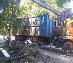 Астраханские коммунальщики ликвидируют до восьми несанкционированных свалок ежедневно