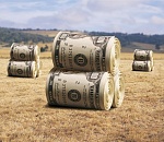 В Астраханской области глава сельсовета незаконно переписала на дочь земельный участок