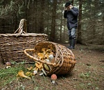 В Астрахани открыли грибной сезон