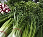 Первый день весны: в Астрахани открылись Зелёные ряды