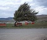 МЧС предупреждает астраханцев об урагане