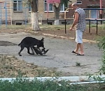 Астраханским живодером оказался кандидат социологических наук