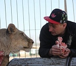 Застрявшим в Астраханской области циркачам нашли работу