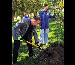 У стен Астраханского кремля высадили дубы