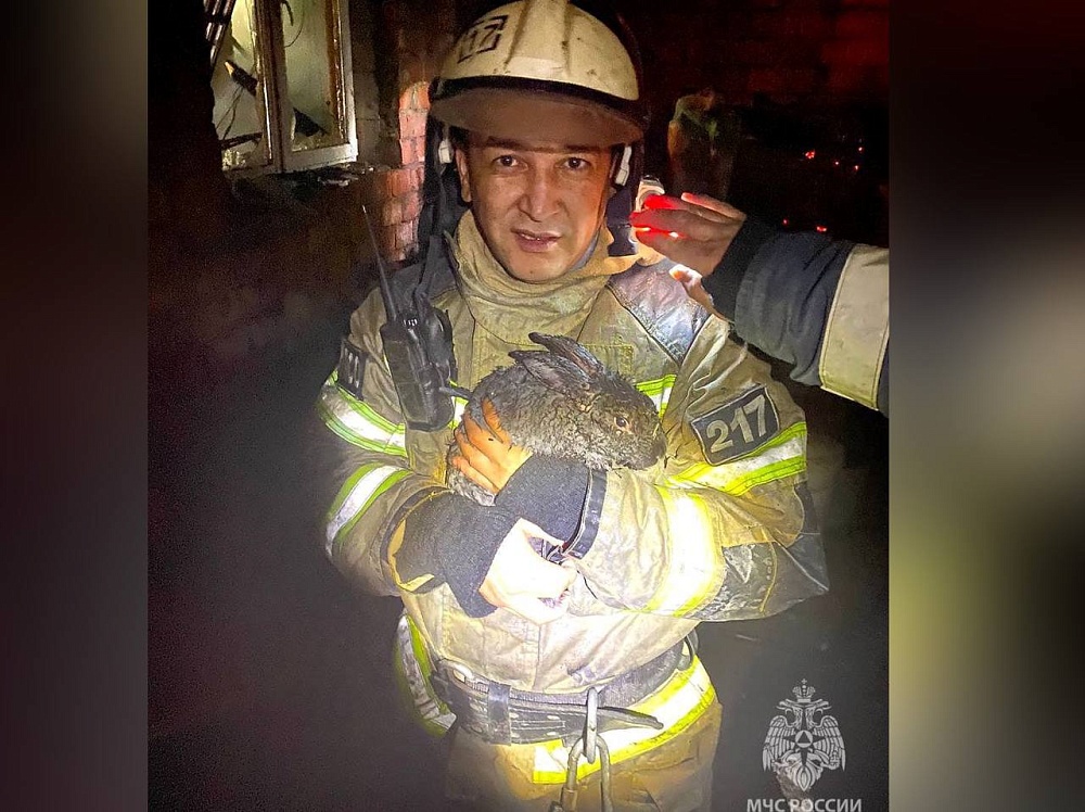 Астраханские пожарные спасли из огня 48 кроликов