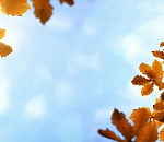 Что изменится в жизни астраханцев с сентября