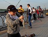 Рекорд юбилейного фестиваля "Вобла" в Астрахани - сто маленьких рыбаков. Фоторепортаж