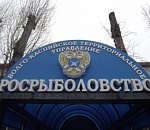 Штрафы для рыбаков останутся – вопреки увещеваниям губернатора?