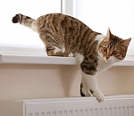 В дома в центре Астрахани тепло вернется только к вечеру