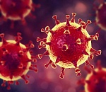 Почти 100 инфицированных за сутки и еще одна жертва ковида в Астрахани