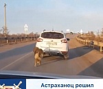 В Астрахани распространяется видео, как мужчина тащит привязанную к машине собаку