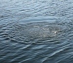 В Астраханской области нашли тело дедушки, утонувшего с маленькими внуками пять дней назад