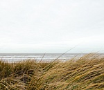 Ветер продолжит бушевать в Астраханской области и завтра