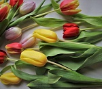 Какую погоду астраханки заслужили в свой праздник?