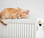 В Астрахани уже начали готовиться к отопительному сезону 