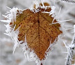 МЧС объявило штормовое предупреждение по Астраханской области