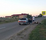 В ДТП корова испортила лицо астраханке