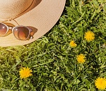 Понедельник в Астрахани будет знойным